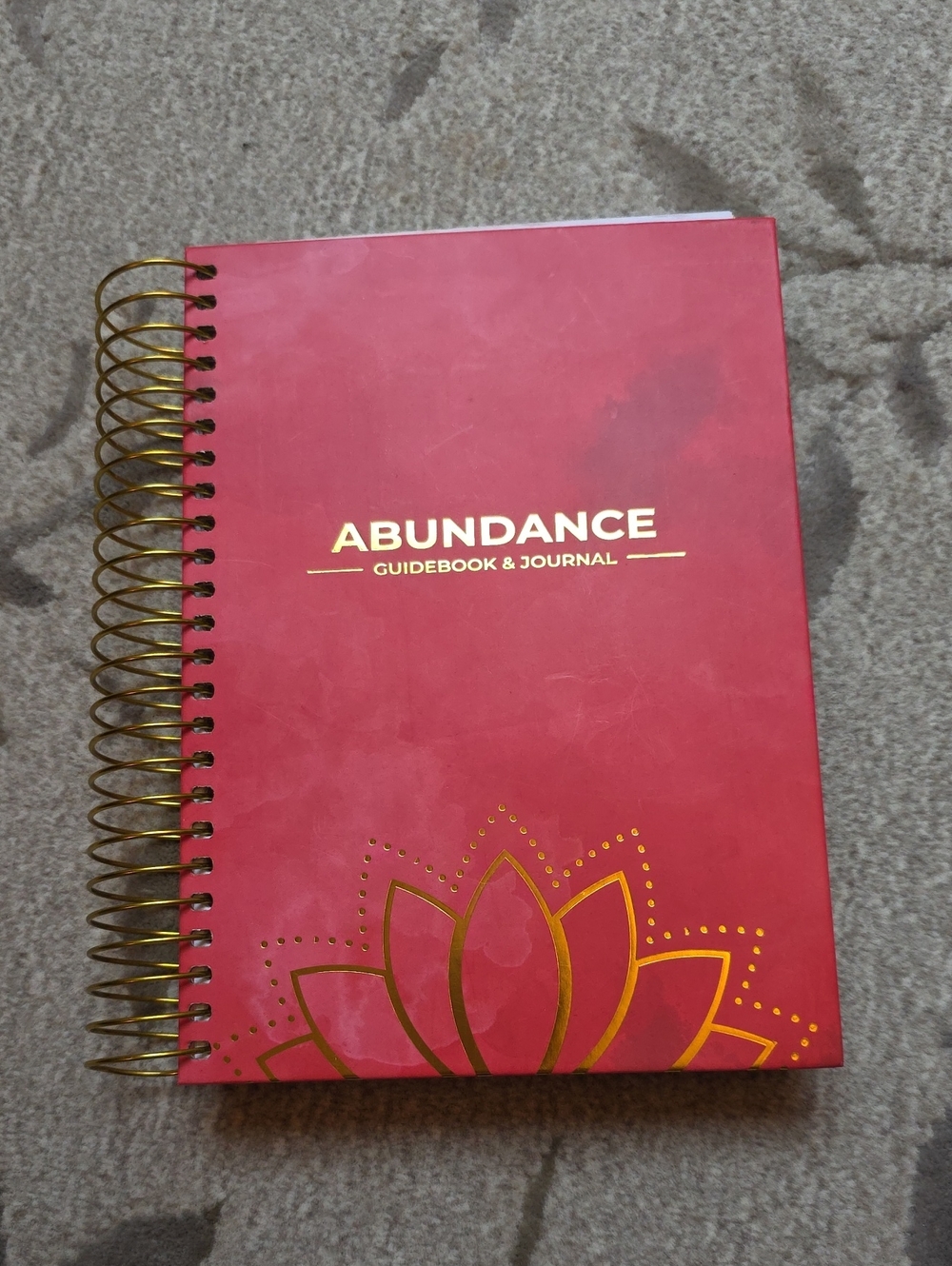 NEW Abundance Guidebook & Journal
